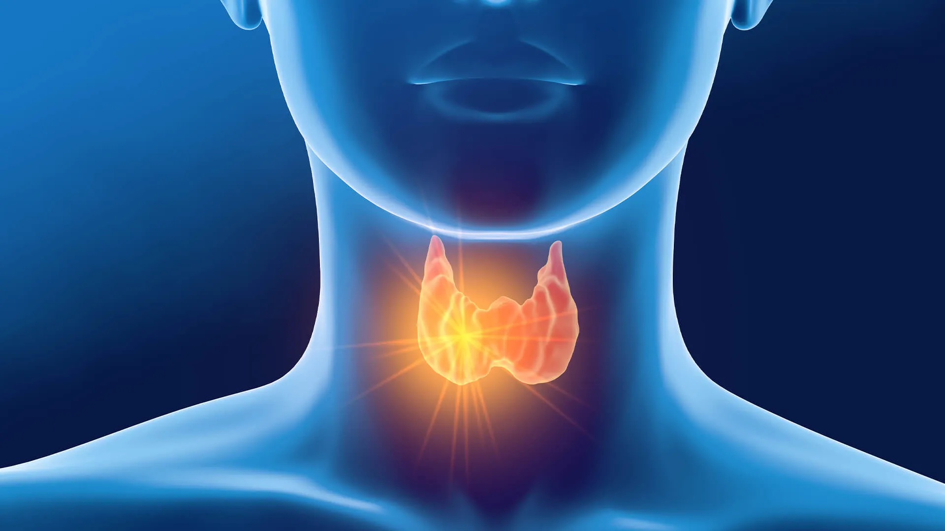 Endocrinología